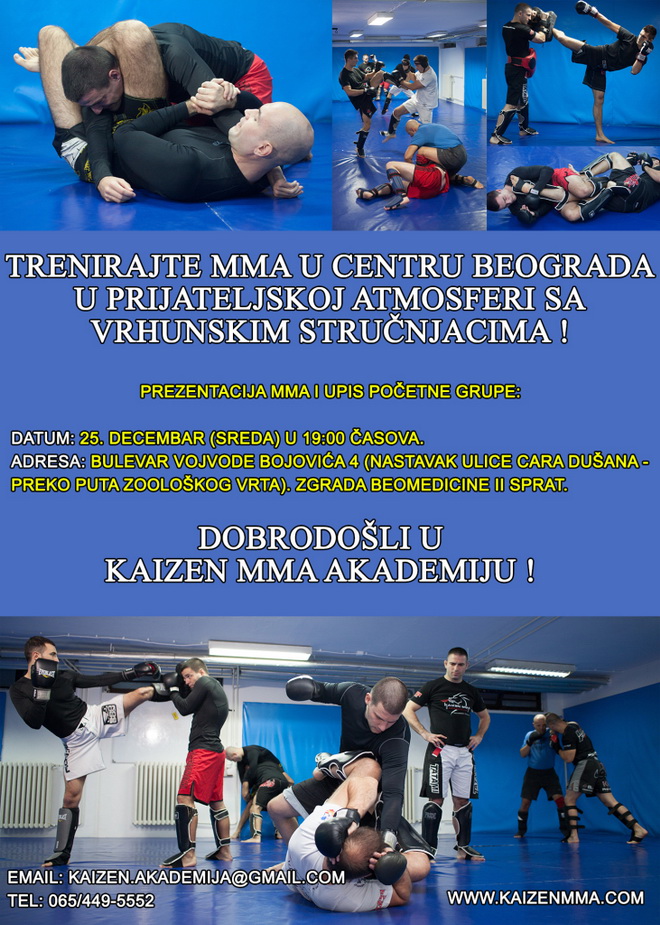 mma u beogradu kaizen