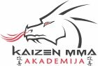 Kaizen